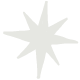 star icon